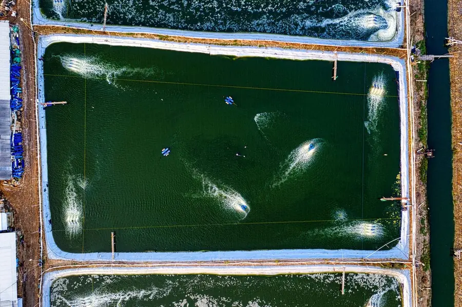 Aerial view of aquaculture ponds