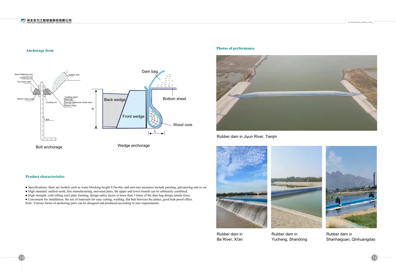 Inside the Baoli brochure: anchorage forms and reference project photos